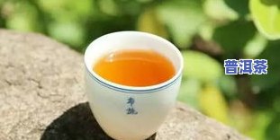 泡普洱茶配比是多少克的-泡普洱茶配比是多少克的好