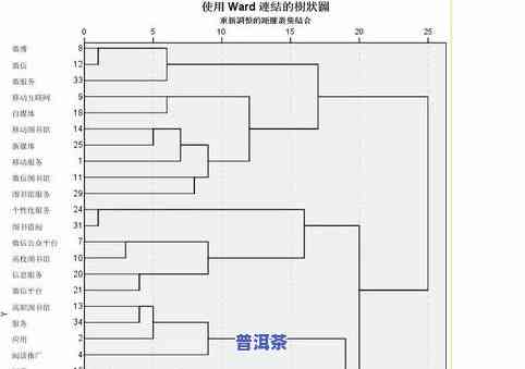 泡普洱茶视频全过程视频：详细教程与步骤详解