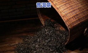 茶的冷门小知识：探索茶叶世界的未知角落