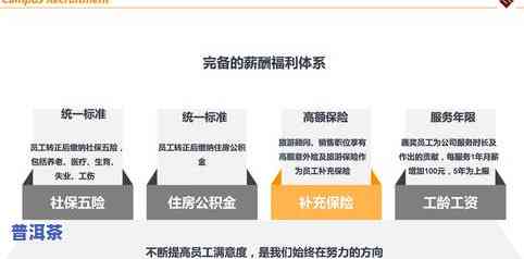 中润茶业：官网、招聘信息及公司评价一网打尽