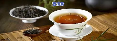 玉环茶属于什么茶？详解其类别、品种与系列