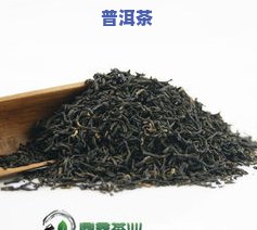 玉环茶属于什么茶？详解其类别、品种与系列