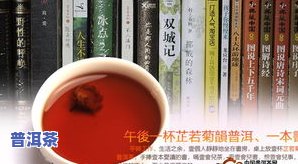 详解普洱茶：最全、最权威的书籍与视频教程