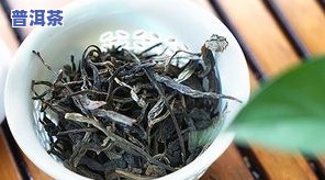 新买普洱茶-买普洱茶生茶还是熟茶好