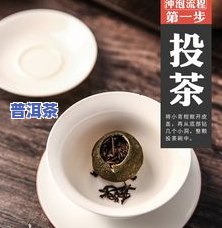 青桔普洱茶简易喝法图片高清教程：冲泡方法、好处与副作用全揭秘