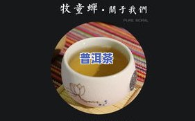 普洱茶：旗舰店销售，价格透明，是否为正品？