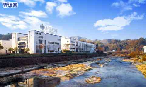 通城茶叶：、基地、全景、茶厂全览