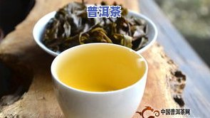 大叶普洱茶的正确冲泡方法，让你品尝到最美味的口感