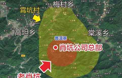 屏山茶叶怎么样？地理位置、及口感全解析