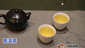 翠峰普洱茶：品种、价格与特点全解析