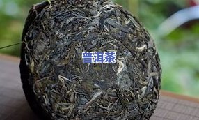 冰岛茶：普洱茶的后代还是王者？探讨其与普洱茶的区别及分类