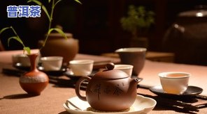 普洱茶精粹：探索茶中精品，揭示其独特魅力与精华所在