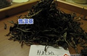 普洱茶名称大全及特点介绍-普洱茶名称大全及特点介绍图片