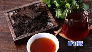 普洱茶试茶方法详解：步骤、技巧与注意事项