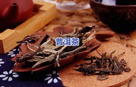 普洱茶试茶简易-普洱茶试茶简易方法