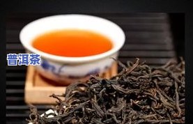 莓茶和普洱茶的区别与功效：有何异同？哪个更好？