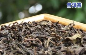 泡普洱茶的更佳水温是多少？