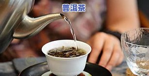 泡普洱茶的更佳水温是多少？