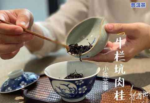 普洱茶一股马蹄味：还能喝吗？有吗？百科揭示真相