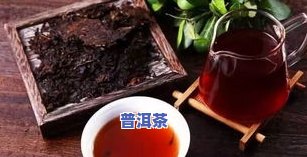 普洱茶熟茶适合新手喝吗？女性也适用。初学者应选择熟茶还是生茶？