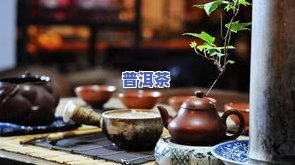 普洱茶满族：少数民族的传统民茶与独特茶俗