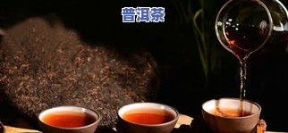 老白茶和熟普，品味岁月沉淀：老白茶与熟普的对比与鉴赏