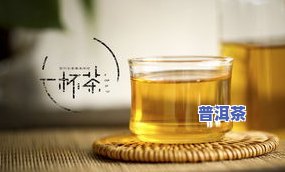 普洱茶散茶拍照图片大全：高清欣赏