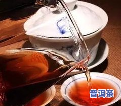 白茶和普洱茶的起源与发展历史，探寻茶文化的源头：白茶与普洱茶的起源与发展历史