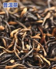 普洱茶小众山头的茶品种及性价比高、有名的五种山头推荐