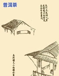 普洱茶画册：从绘画到插画，全面解析普洱茶的画法与艺术表现