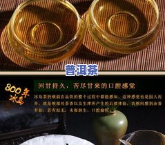 云南七子饼普洱茶冰岛甜-云南七子饼普洱茶冰岛甜生茶价格