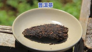 普洱茶冰岛的泡法全解：步骤、技巧与注意事项