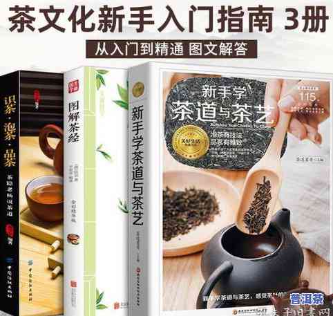 茶经普洱茶：探索经典普洱茶的魅力与艺术——普洱茶