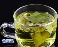 萃能牌普洱茶：对身体有害吗？荷叶茶减肥真伪、价格及好处全解析