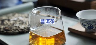 普洱茶荟萃-萃能牌普洱茶