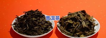 普洱茶巨人-普洱茶巨人制茶怎么样