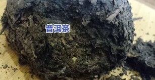 普洱茶有白色虫卵，能否饮用？有吗？