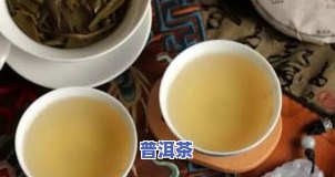 普洱茶生茶：好处、效果与禁忌全解析