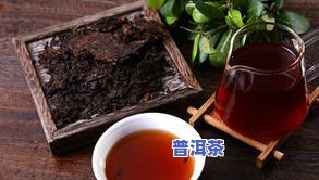 麒麟号的普洱茶怎么样-麒麟号的普洱茶怎么样好喝吗