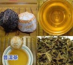 云南九贡普洱茶-云南九贡普洱茶是谁