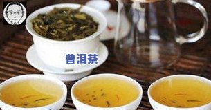 普洱茶一般泡多久可以喝？专家解析更佳冲泡时间