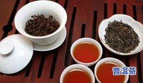 茯茶和普洱茶价格区别大吗？用户分享经验与看法