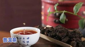 从前慢是什么类型的茶，探秘『从前慢』：一种特别的茶类品种