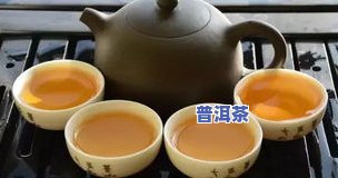 泡普洱茶需要放盐吗？上有哪些不同的观点？