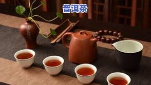 普洱茶是不是需要煮？煮茶器、煮法全解析