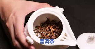 普洱茶泡茶洗茶-普洱茶泡茶洗茶好吗