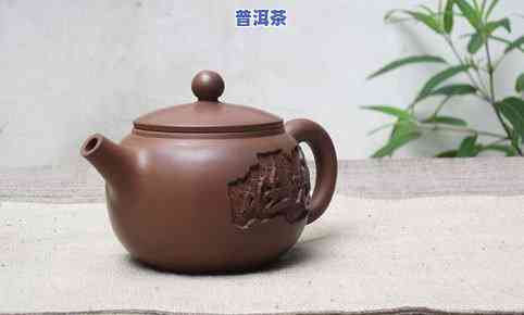 本物普洱茶-本朴普洱茶