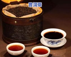 大树茶普洱茶生茶：泡法、价位与老树茶的区别