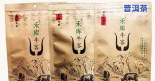 茶叶最嫩的部位，品味珍馐：探索茶叶最嫩部位的特别魅力