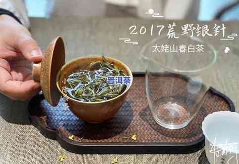 普洱茶、玫瑰茶与红茶：如何选择？